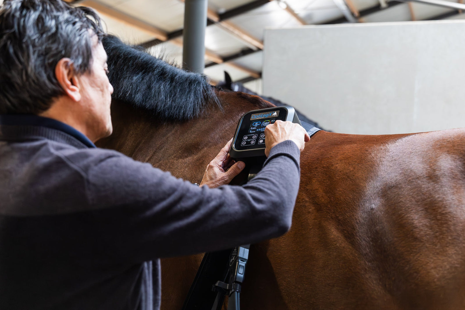OptiLegX: van een idee naar een vaste waarde in het management van sportpaarden